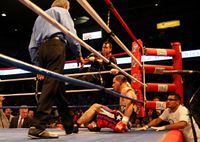 File:Pro-boxing-IL-USA.jpg