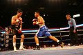 Pro-boxing-Midwest--USA.jpg