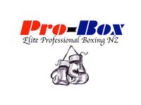 File:ProBox NZ.jpeg