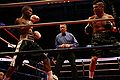 Professional boxing Illinois USA-2.jpg