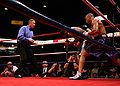 Professional boxing Illinois USA.jpg