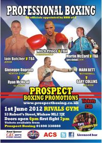 File:Prospect Boxing poster 010612.jpg