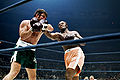 Quarry-Frazier.jpg