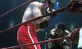 Quarry-Frazier Photo-530x317.jpg