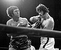 Quarry-tony-doyle.jpg