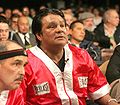 ROBERTO-DURAN Ciorner.jpg