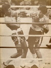 File:ROSSMAN-ALDO-TRAVERSARO.jpg