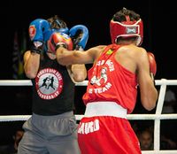 File:Rafael Araujo vs. Gustavo Brocanelli.jpg
