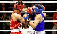 File:Rafael Araujo vs. Joao Marcos.jpg