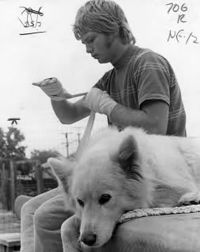 File:Randy-Shields-handwraps.jpg