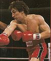 RayMancini punching.jpg