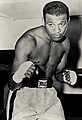 RayRobinson.jpg