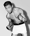 RayRobinson2.jpg