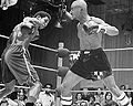 Ray seales-M-Hagler.jpg