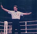RefereeGermany IBF.jpg