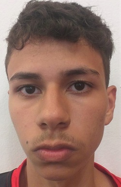 Renato Dos Santos Gomes.jpeg