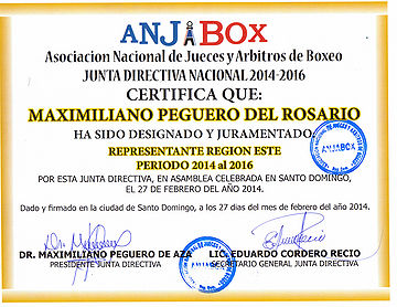 RepresentanteEste Maximiliano Peguero del Rosario.jpg