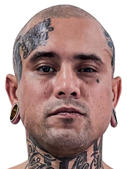 Ricardo Fernando Kogus.jpg