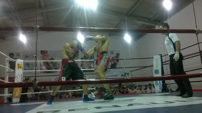 Ricardo Lara de Miranda vs. Ueliton Lopes de Lara (16).jpg