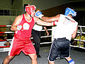 Thumbnail for version as of 12:46, 15 February 2011