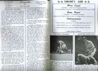 File:Riccitelli Article.jpg