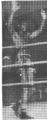 Thumbnail for version as of 11:03, 6 May 2008
