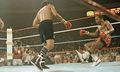 Roberto-Duran-v-Davey-Moo-011.jpg