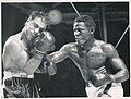 Rocky-Ezzard.jpg