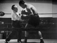File:RockyGoldman.jpg