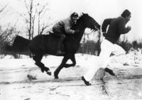 File:RockyHorse.jpeg