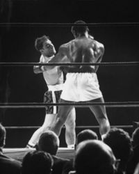 File:Rocky M2.JPG