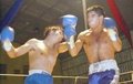 Thumbnail for version as of 15:39, 6 June 2005