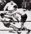 Thumbnail for version as of 20:25, 20 September 2023