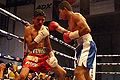 Roman Gonzalez vs. Ivan Meneses.jpg