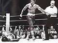 Ron Lyle vs. Earnie Shavers . Fasan.jpg