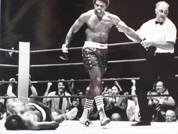 Ron Lyle vs. Earnie Shavers . Fasan.jpg