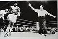Ron Lyle vs. Larry Middleton . Fasan.jpg