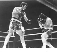 File:Ron Stander 1971 OHalloran vs Stander ref Gene Buzzello.jpg