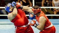 File:Ronaldo Castorino vs. Joao Neto.jpg