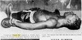 Thumbnail for version as of 21:36, 28 March 2025