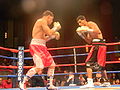 Thumbnail for version as of 23:19, 3 October 2010