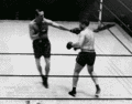 Thumbnail for version as of 15:07, 12 August 2006
