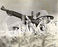 Thumbnail for version as of 15:04, 31 May 2011