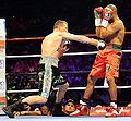 Roy-Jones-Danny-Green27.jpg