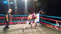 File:Rubens Diego Dos Santos vs. Breno Santana Rangel (39).jpg