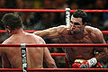 S080223 klitschko-Ibragimov.jpg