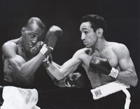File:Saddler-Pep51.JPG
