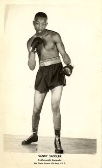 File:Saddler50.jpg