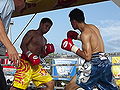 Thumbnail for version as of 03:16, 27 December 2011