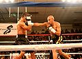 Salido-Avila-Cicero-IL.jpg